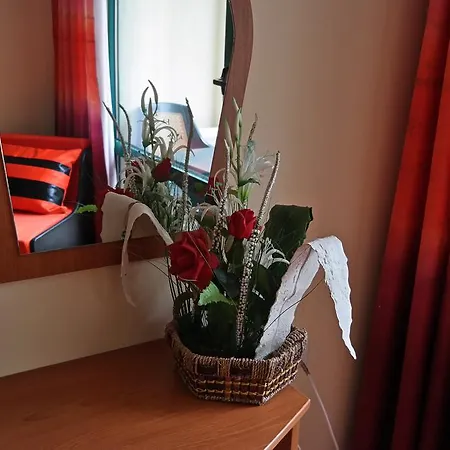 Hotell Tanya 3*